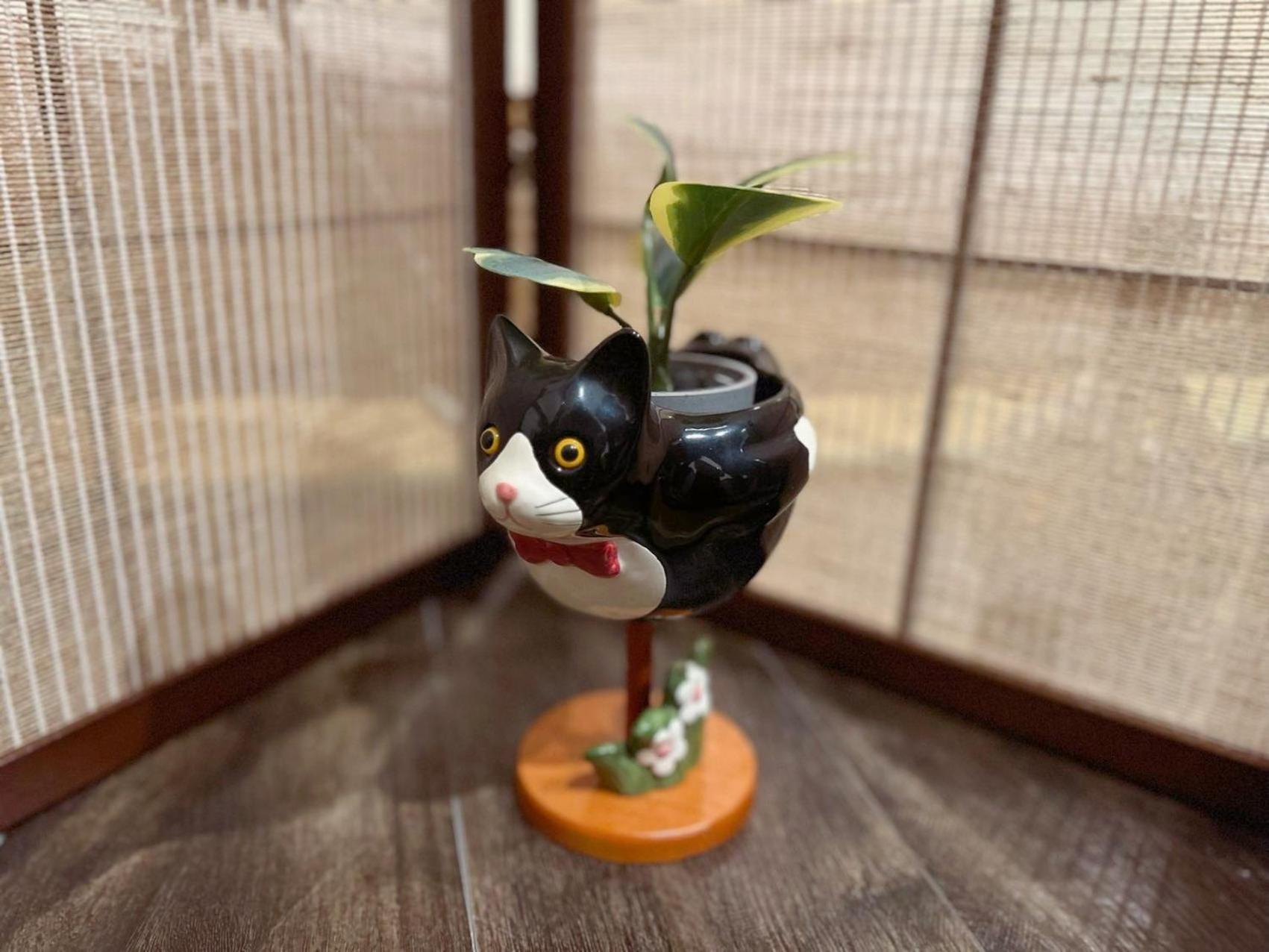 Yume夢 黒門店 Apartment Osaka Luaran gambar